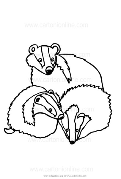 Барсук набросок