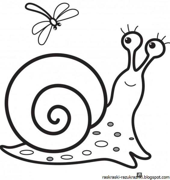 Улитка раскраска для детей