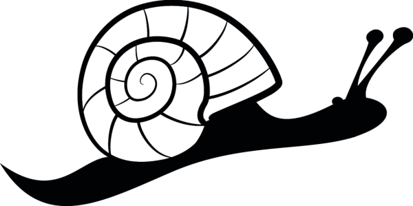 Моллюски рисунок