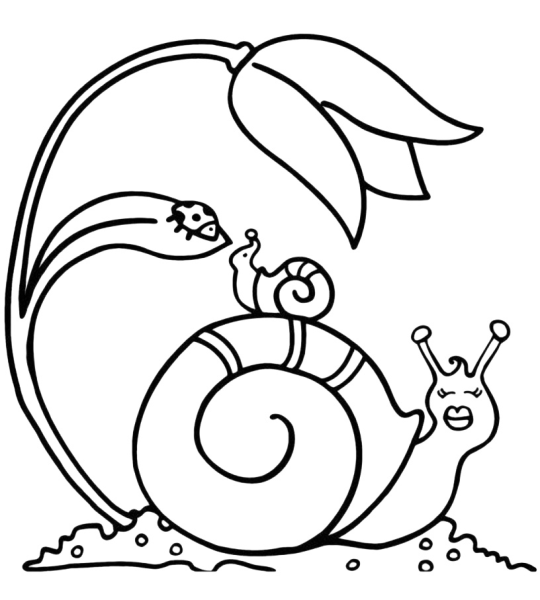 Карандашами - улитка