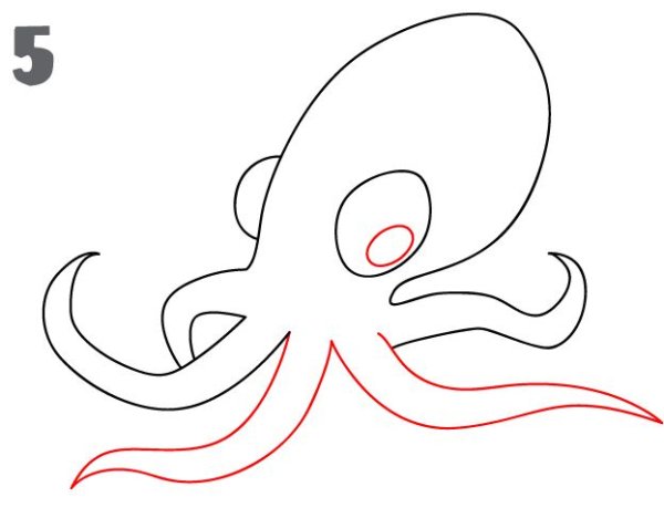 Осьминог раскраска для детей