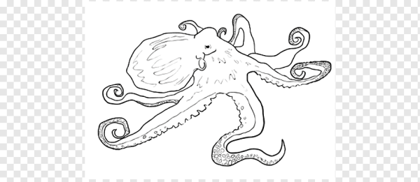 Поэтапное рисование осьминога для детей