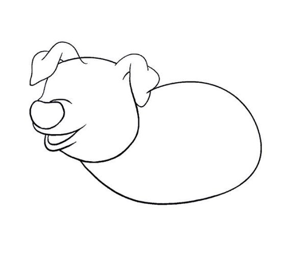 Морда свиньи