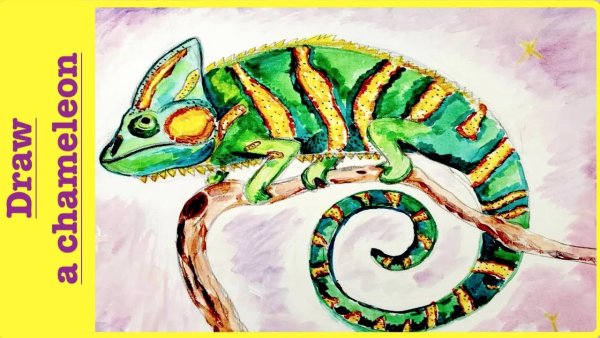 Рисование хамелеона для детей