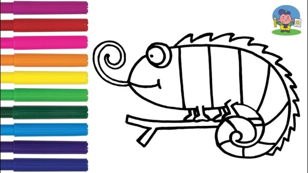 Раскраска полосатый хамелеон