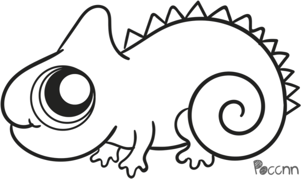 Разукрашка хамелеон