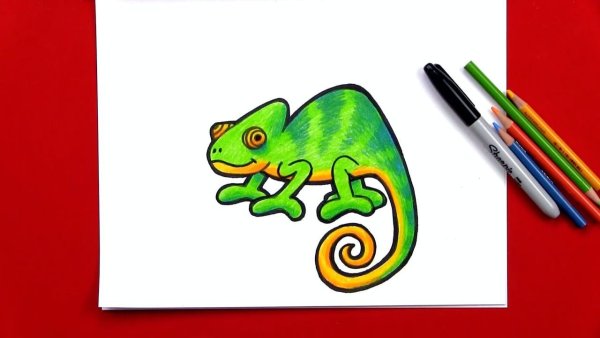 Рисунки маркерами хамелеон