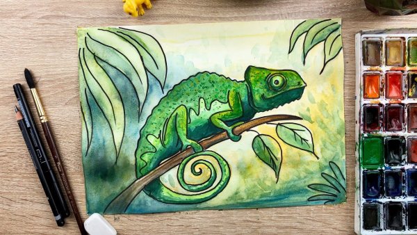 Хамелеон рисунок для детей красками