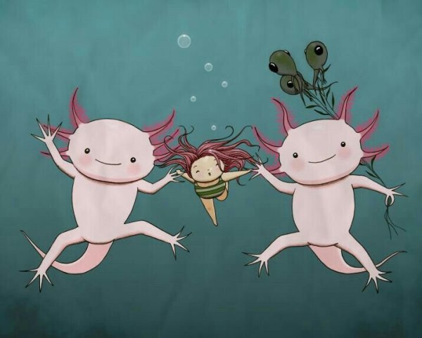 Аксолотль референсы