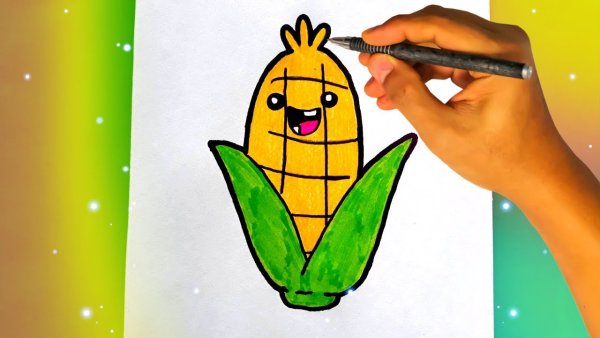 Рисунок кукурузы для срисовки