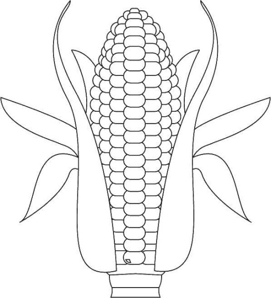Кукуруза раскраска для детей
