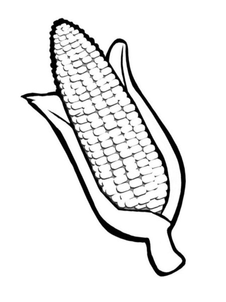 Кукуруза вектор