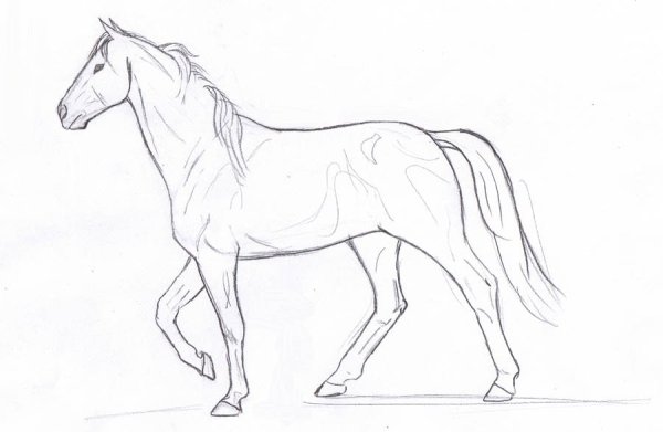 Лошадь для рисования детям
