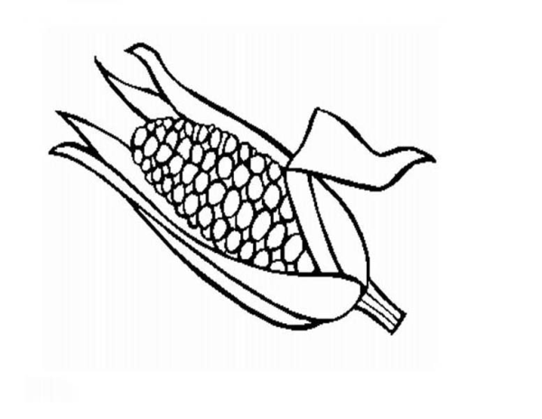 Кукуруза черно белая