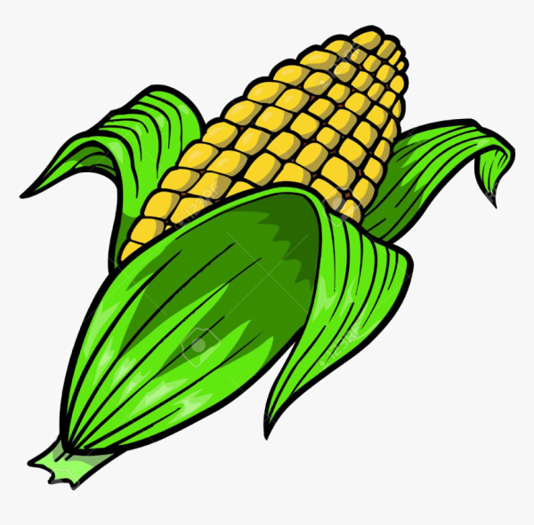 Кукуруза рисовать