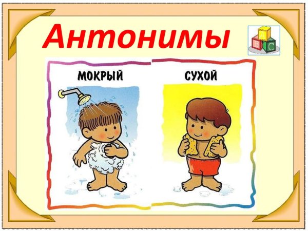 Словарное слово антонимы