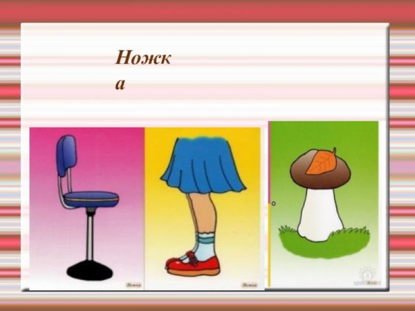 Слова омонимы