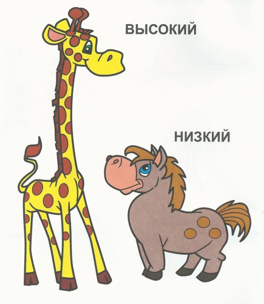 Дидактические карточки противоположности