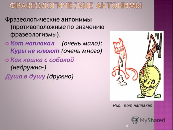 Слова противоположные по значению