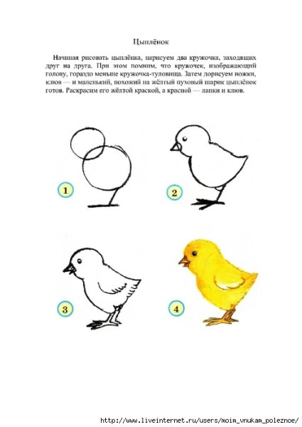 Цыпленок рисунок пошагово