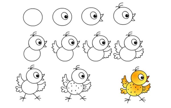 Цыпленок рисунок карандашом