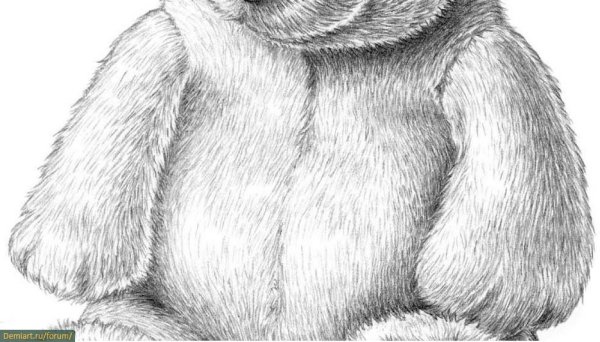 Мех рисунок карандашом