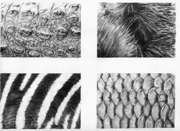 Фактура меха рисунок