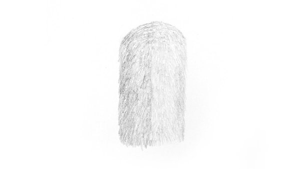 Мех рисунок карандашом