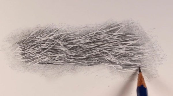 Шерсть карандашом
