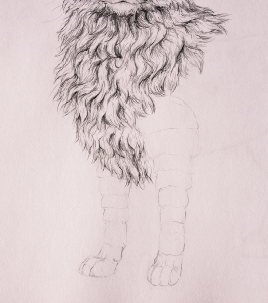 Шерсть карандашом