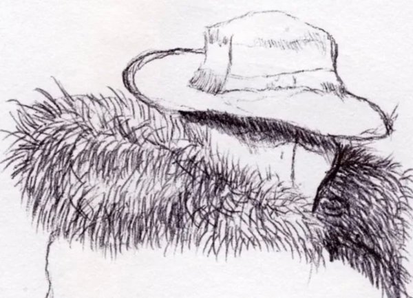 Нарисованный мех