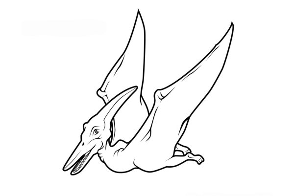 Птеродактиль раскраска