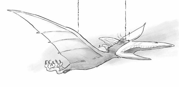 Птеродактиль раскраска