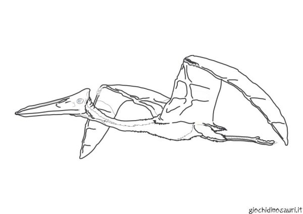 Аватар Леоноптерикс арт