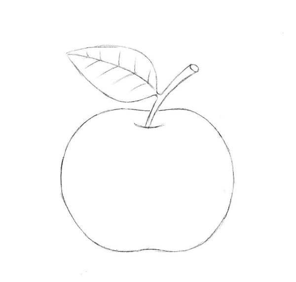 Яблоко рисунок карандашом