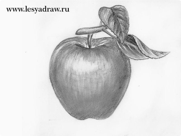 Штриховка карандашом