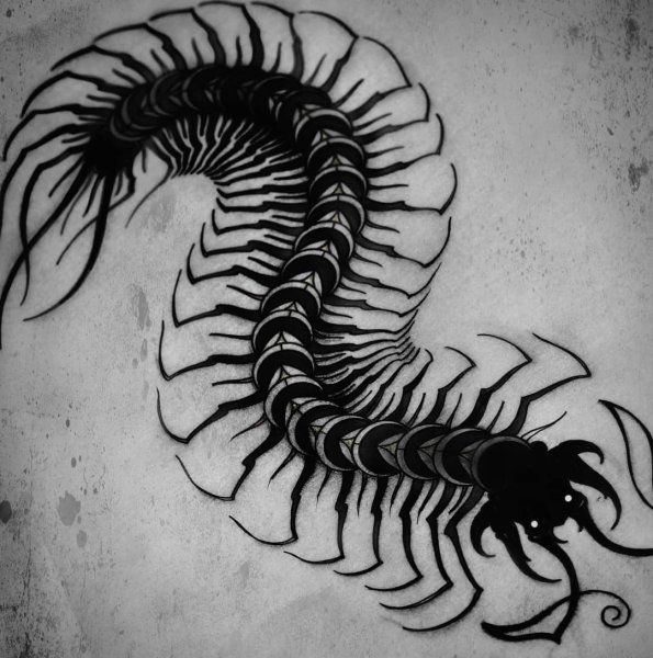 Тату сороконожка эскиз