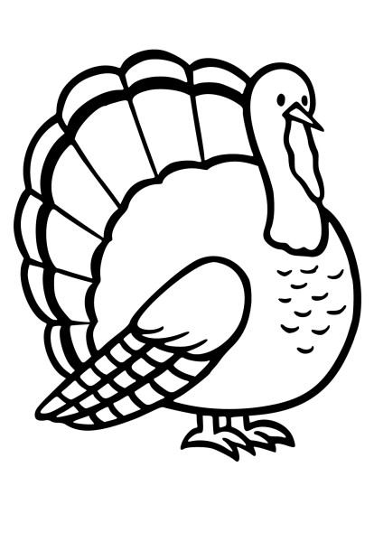 Индюк раскраска для детей