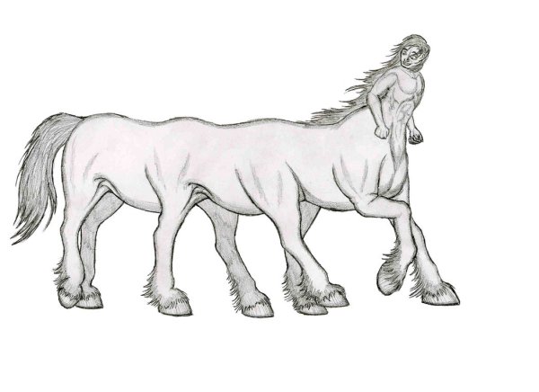 Кентавр карандашом