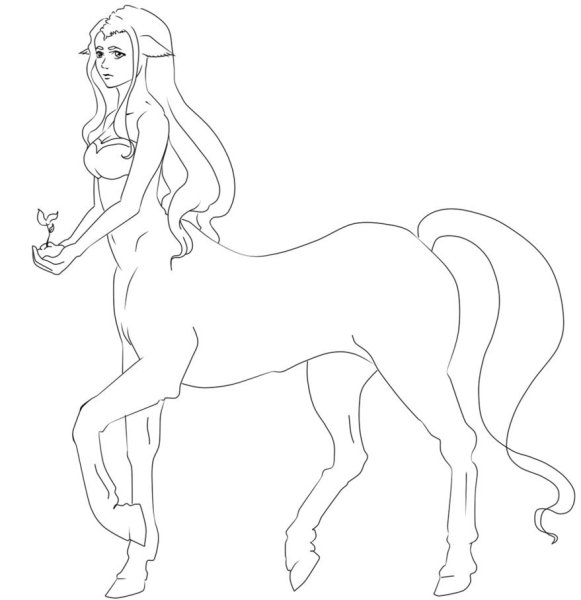 Кентавр раскраска для детей