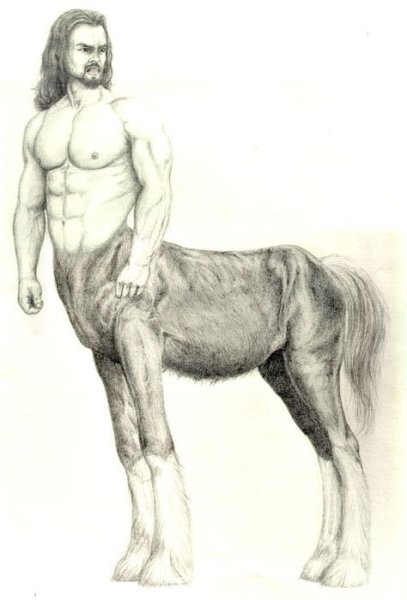 Фрилайн Кентавр