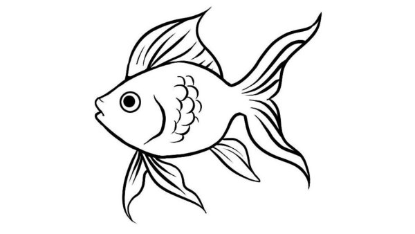 Рисование Золотая рыбка