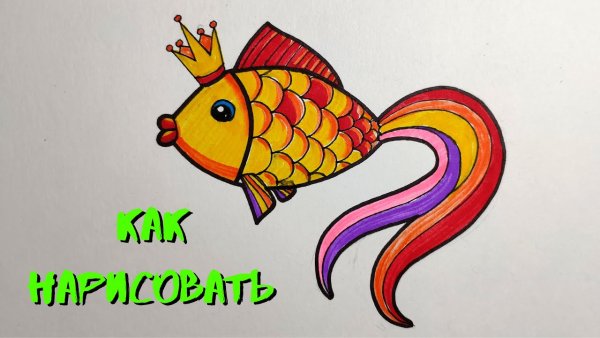 Золотая рыбка для срисовывания
