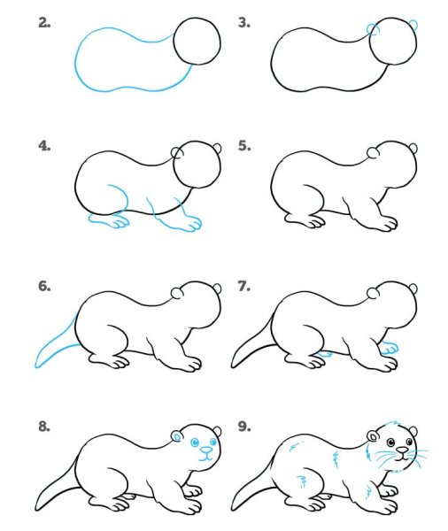 Пошагово нарисовать выдру