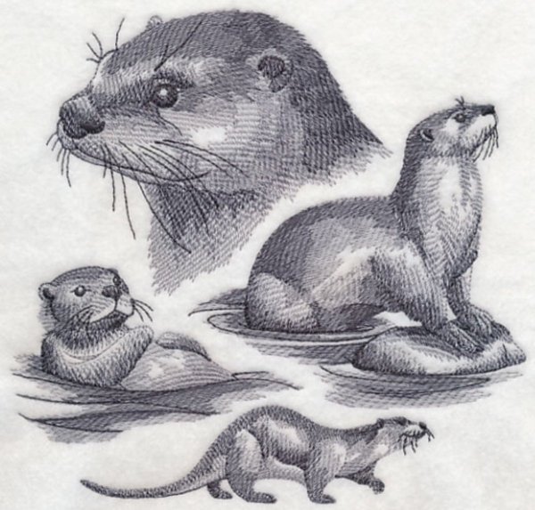 Выдра рисунок