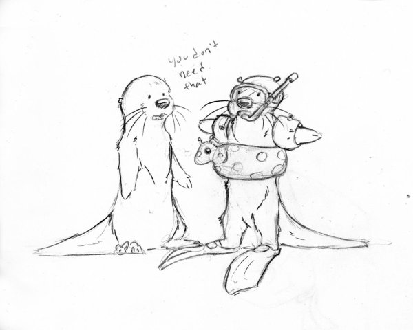 Выдры рисунок карандашом простой