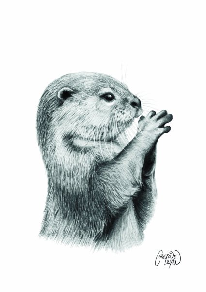 Выдра эскиз