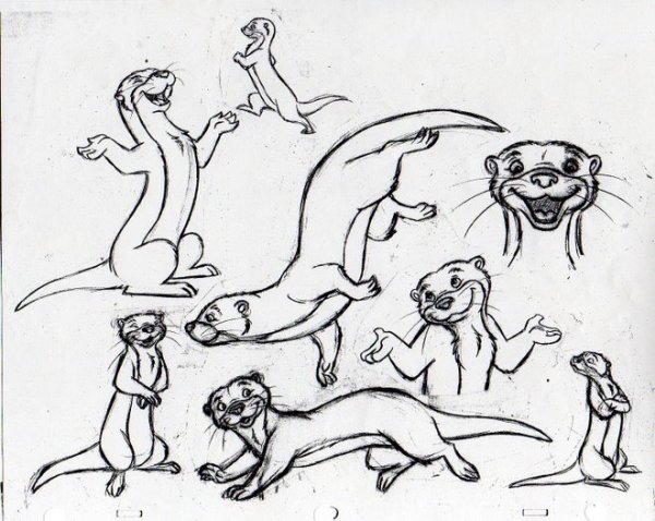 Нарисовать выдру карандашом