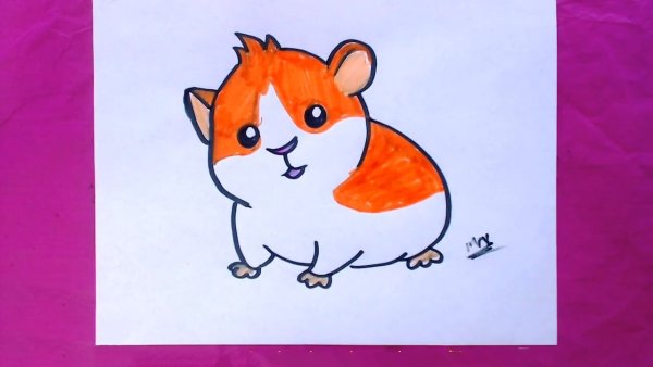 Нарисовать хомяка легко