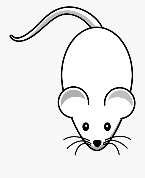 Мышка черно белая